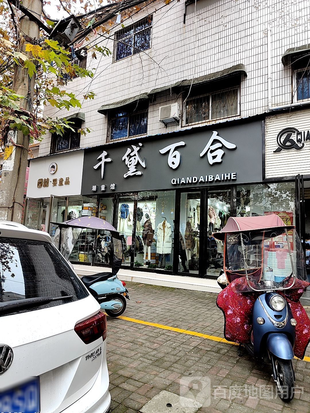 桐柏县千黛百合(大同路店)