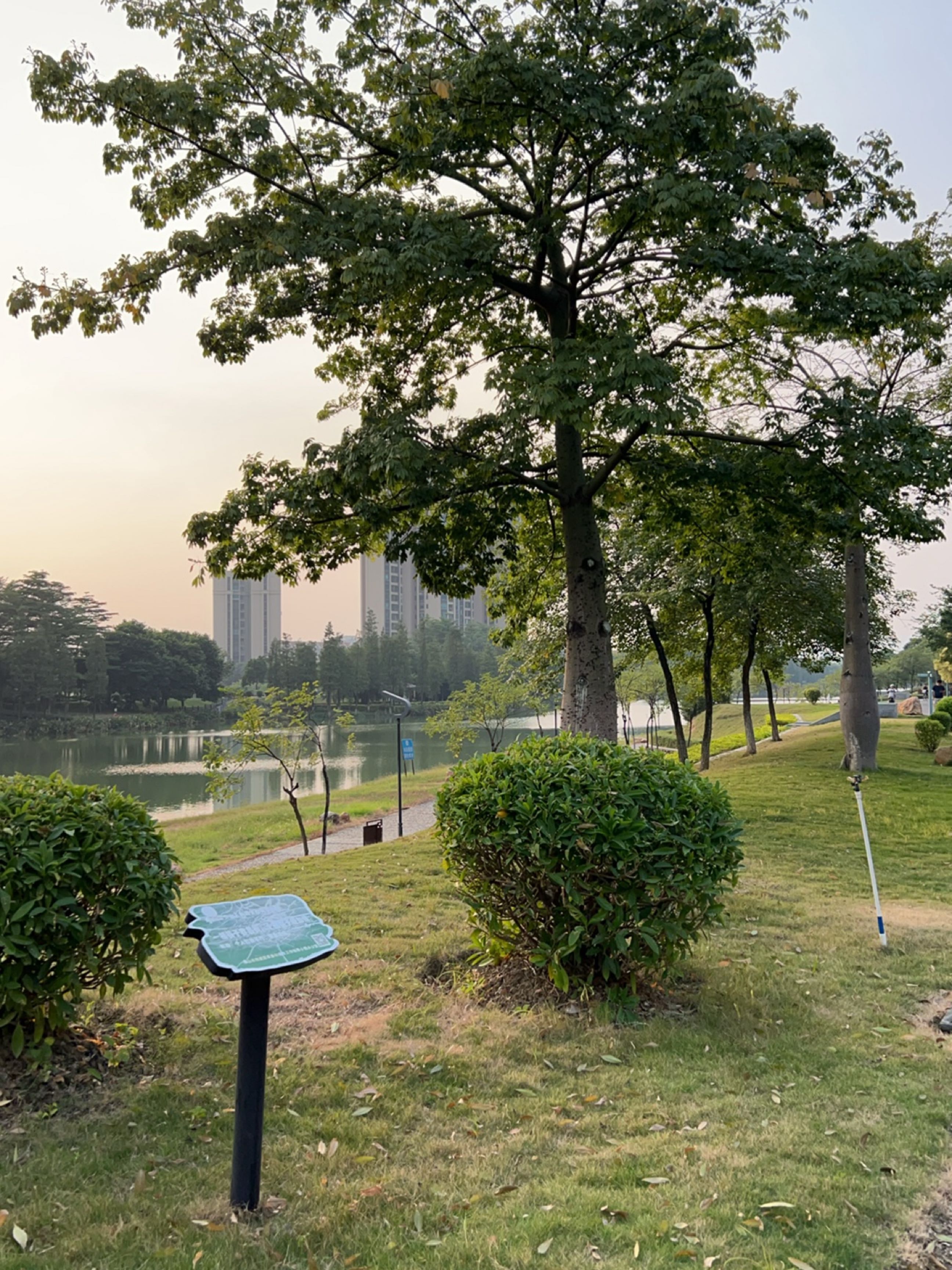 秀丽河碧道