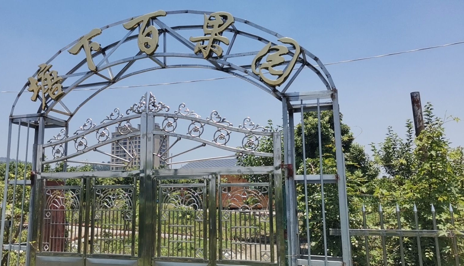 塘下百果园