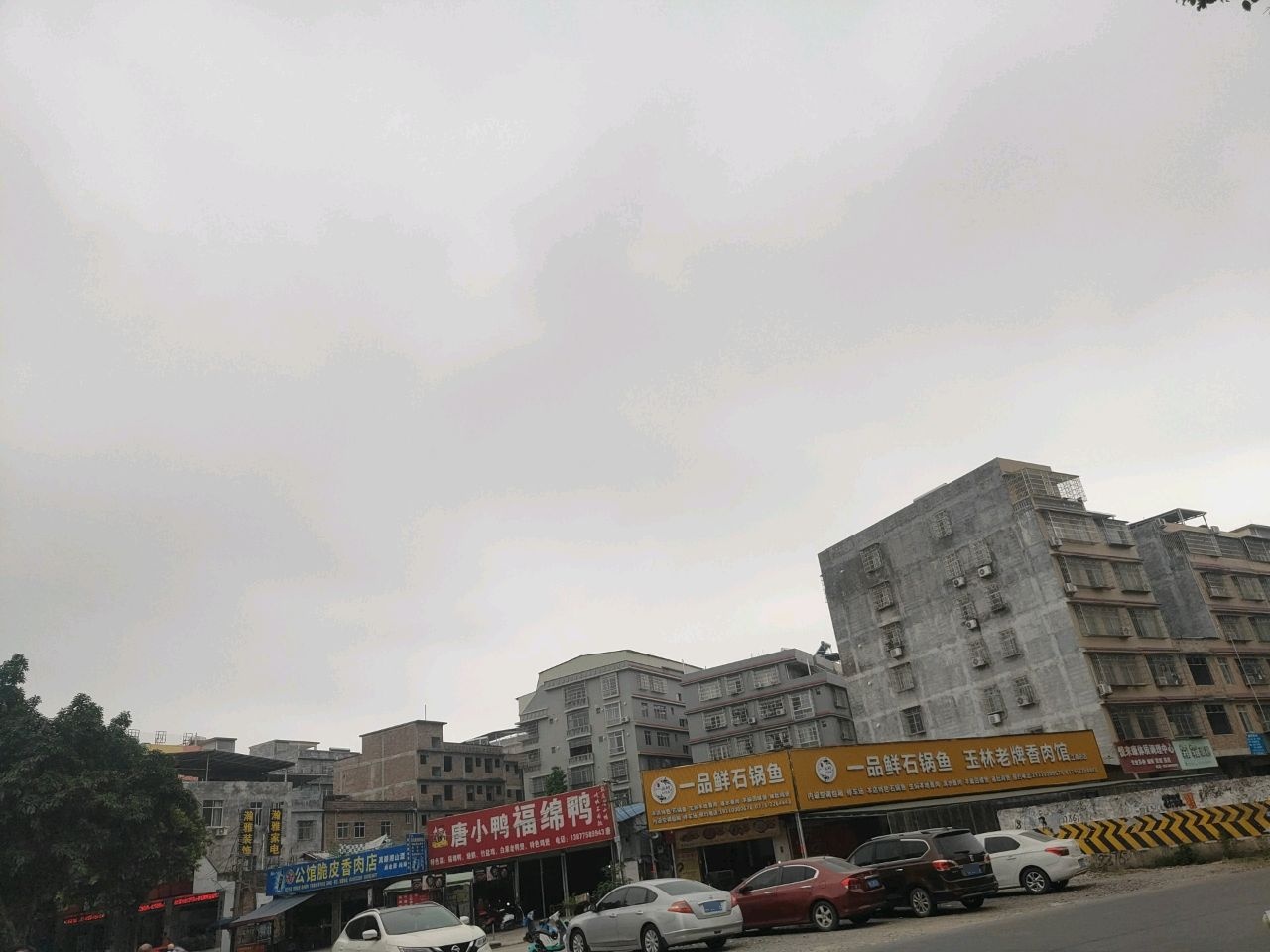 一品鲜石锅鱼(新民路店)