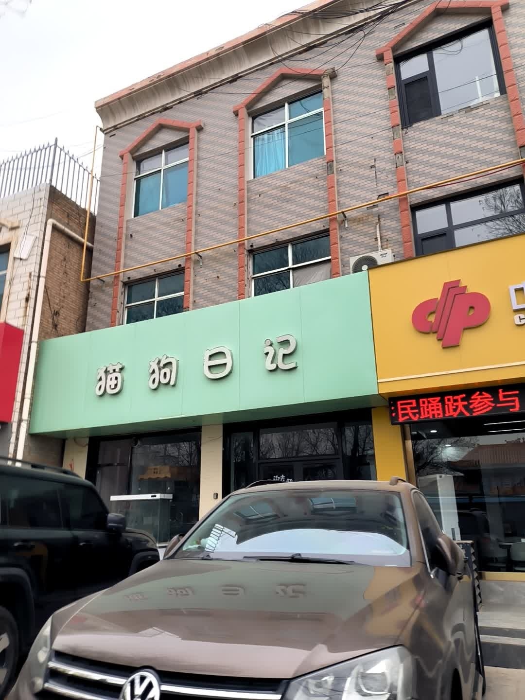 猫狗日记(长城南街店)