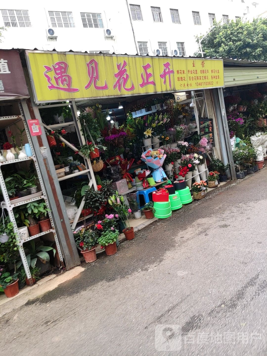 遇见花正开