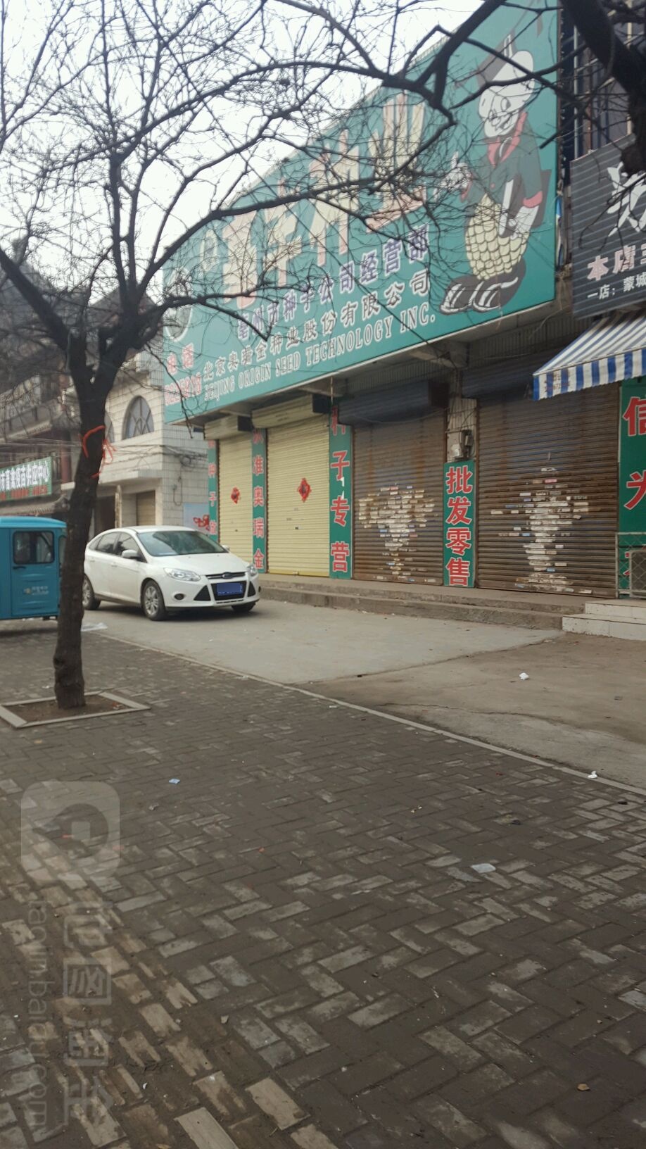 亳州市亳丰种业