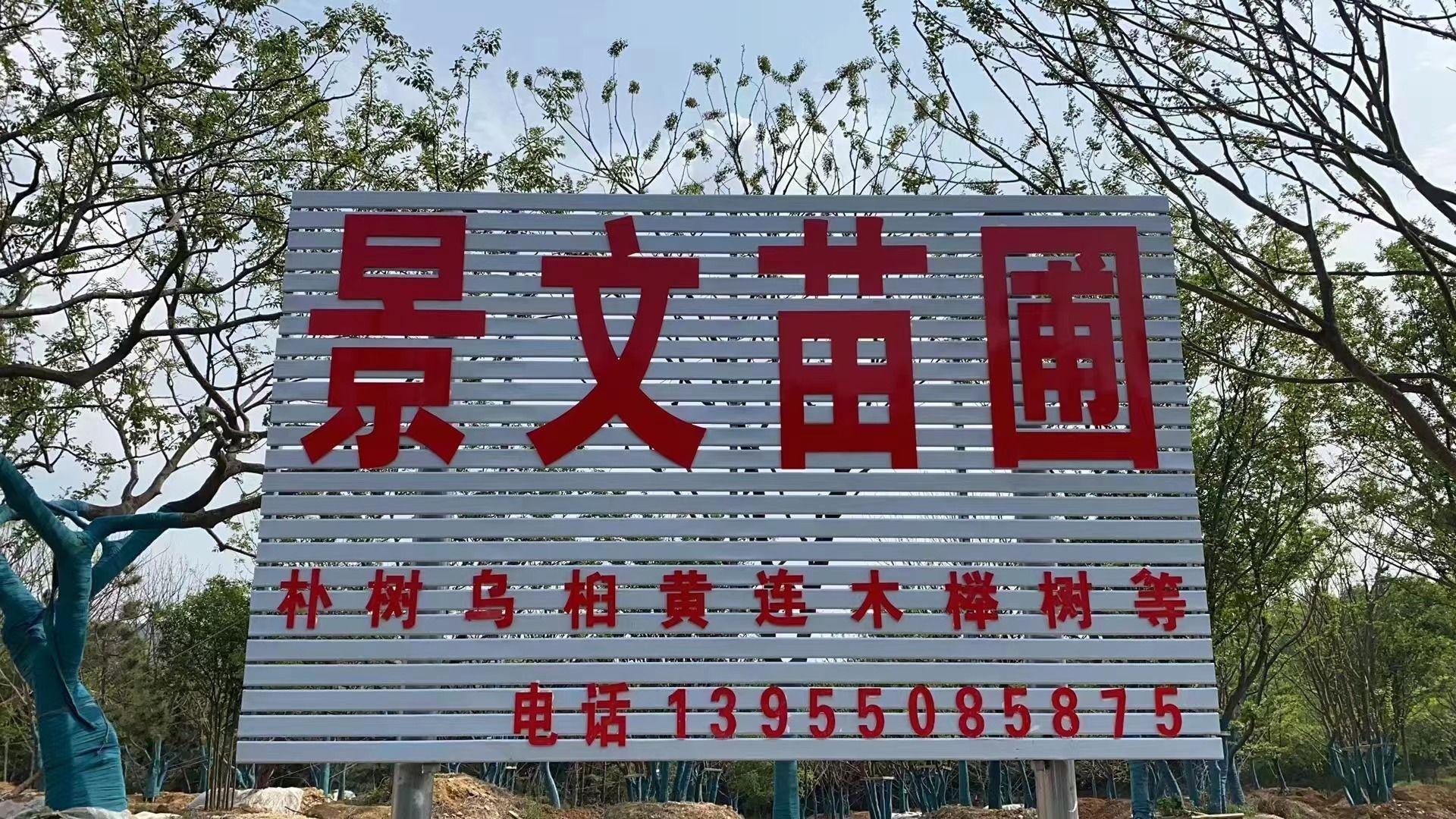 景文苗圃