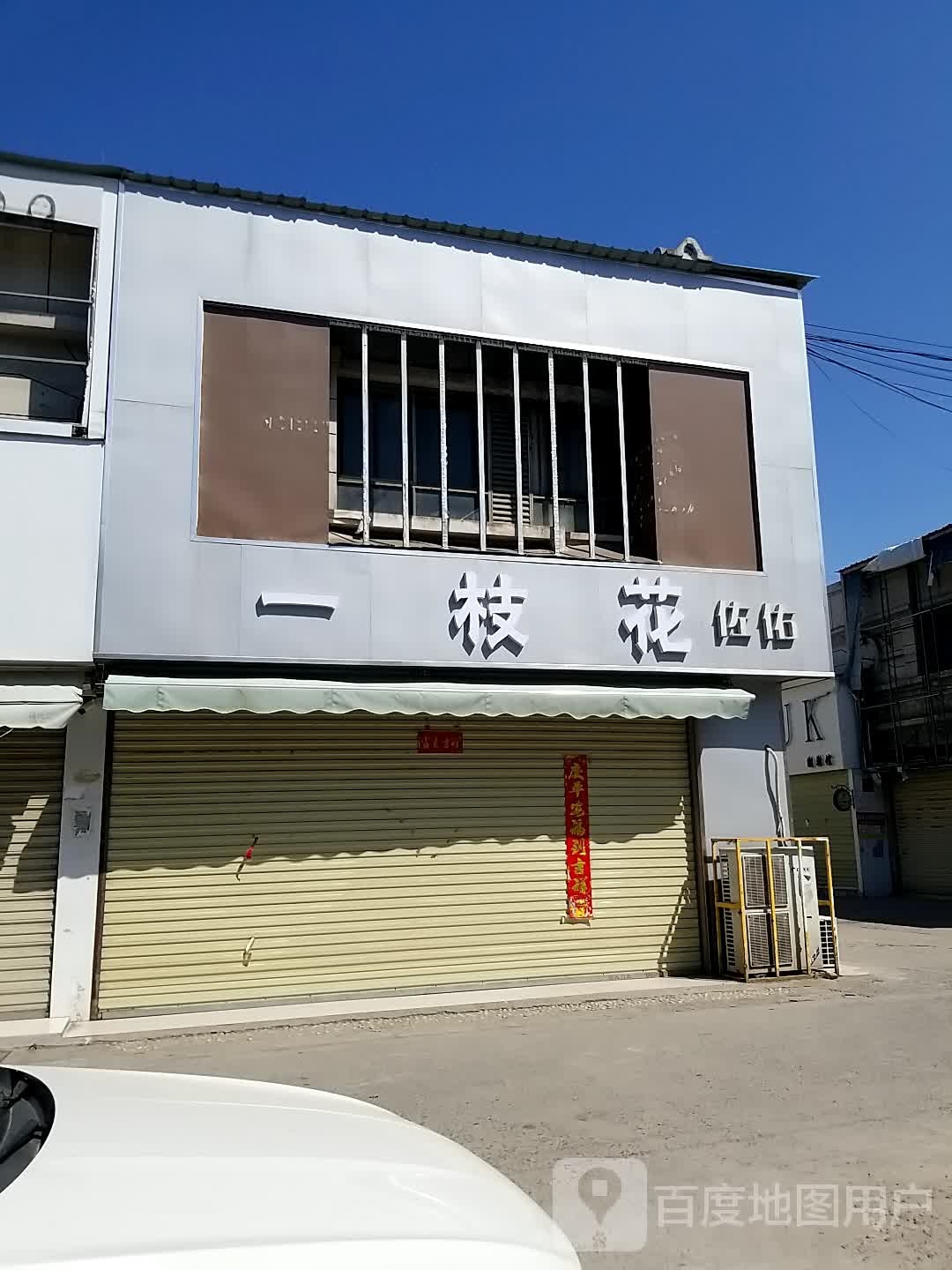 沈丘县一枝花(恒瑞步行商业街店)