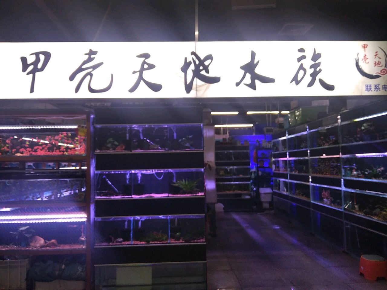 甲壳天地水族