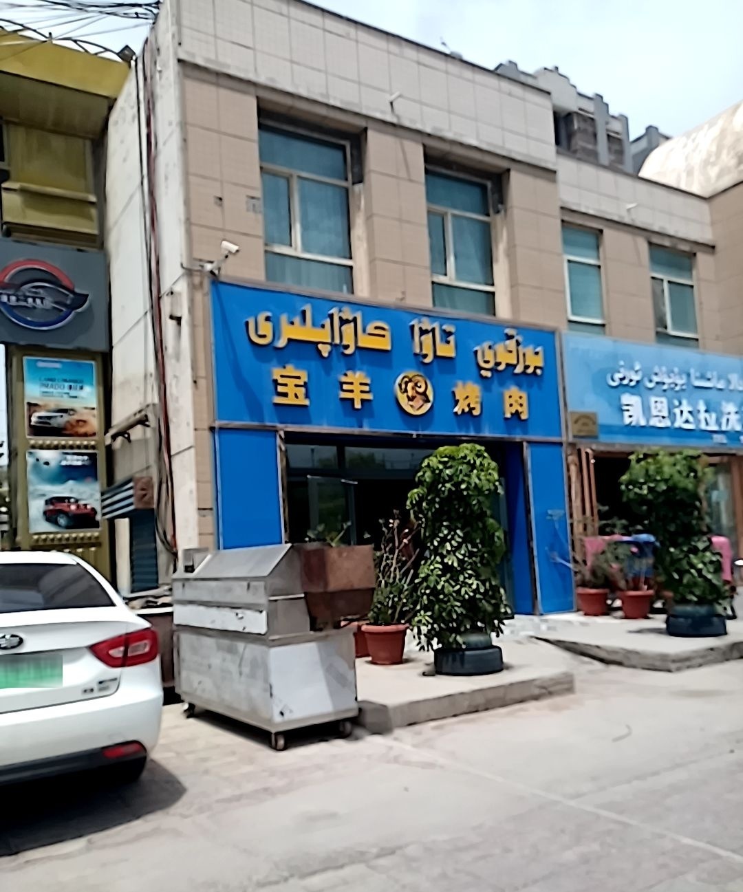 宝羊靠肉