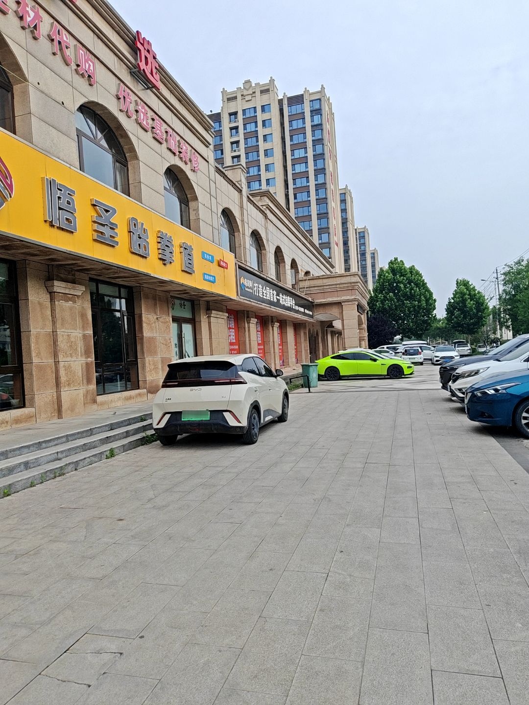 悟圣跆拳道