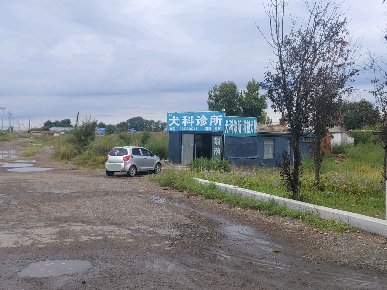 犬科诊所