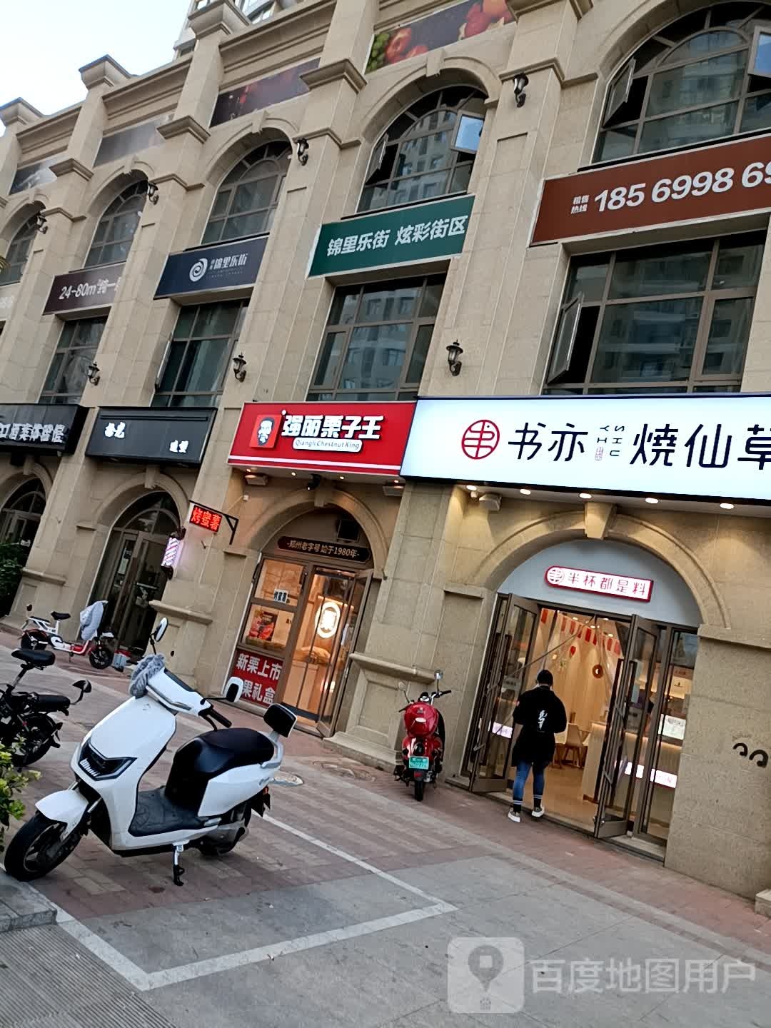 强丽栗子王(郑飞店)