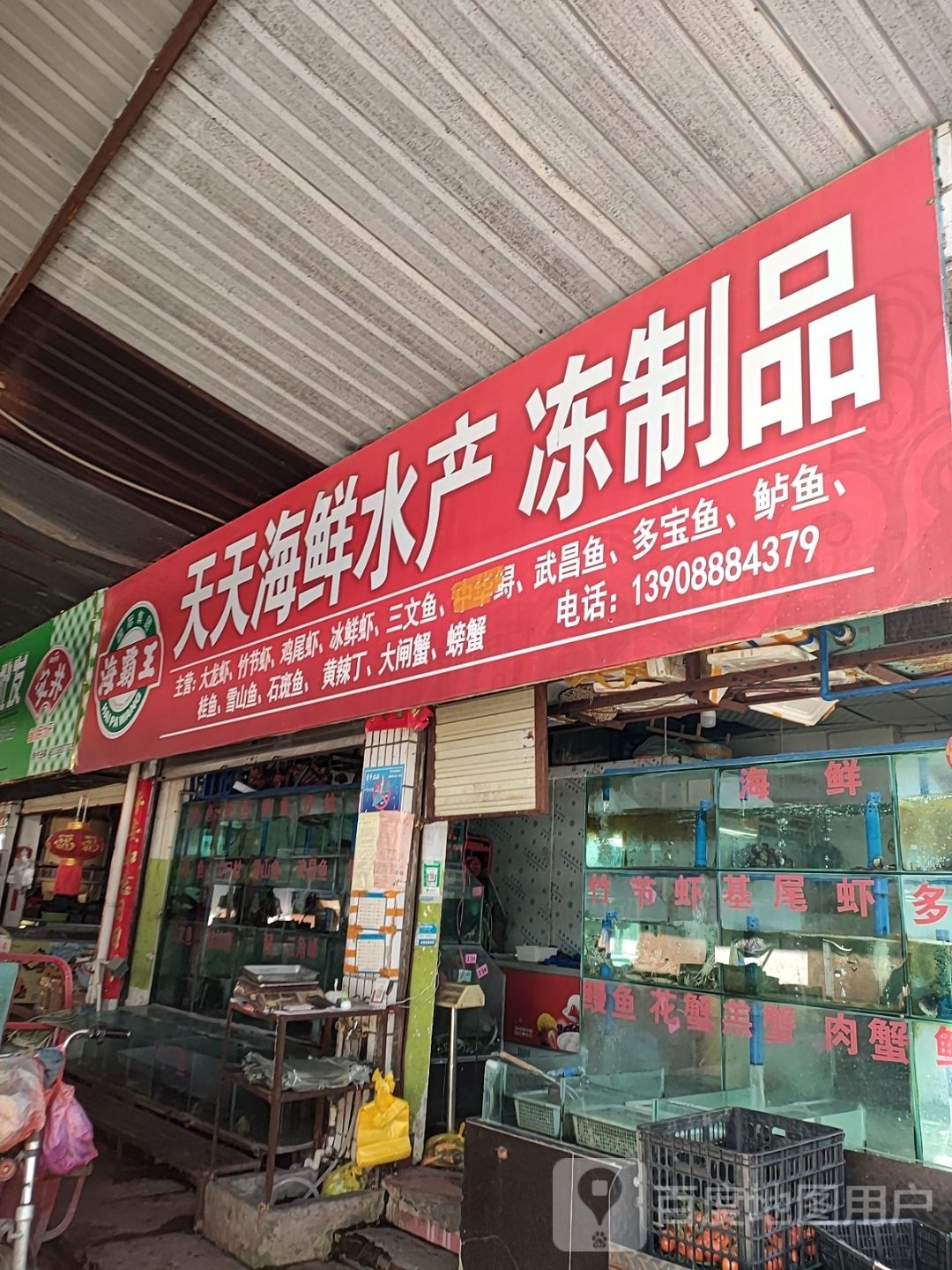 天天海鲜睡产冻制品