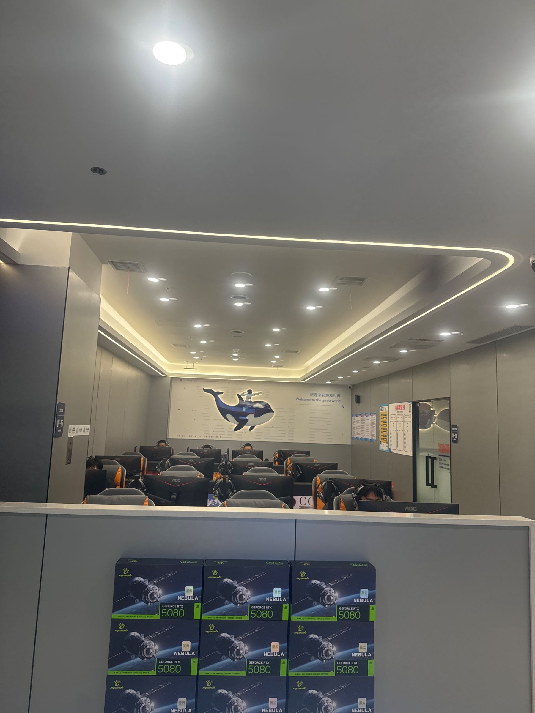 网鱼电竞(湛江印象汇店)