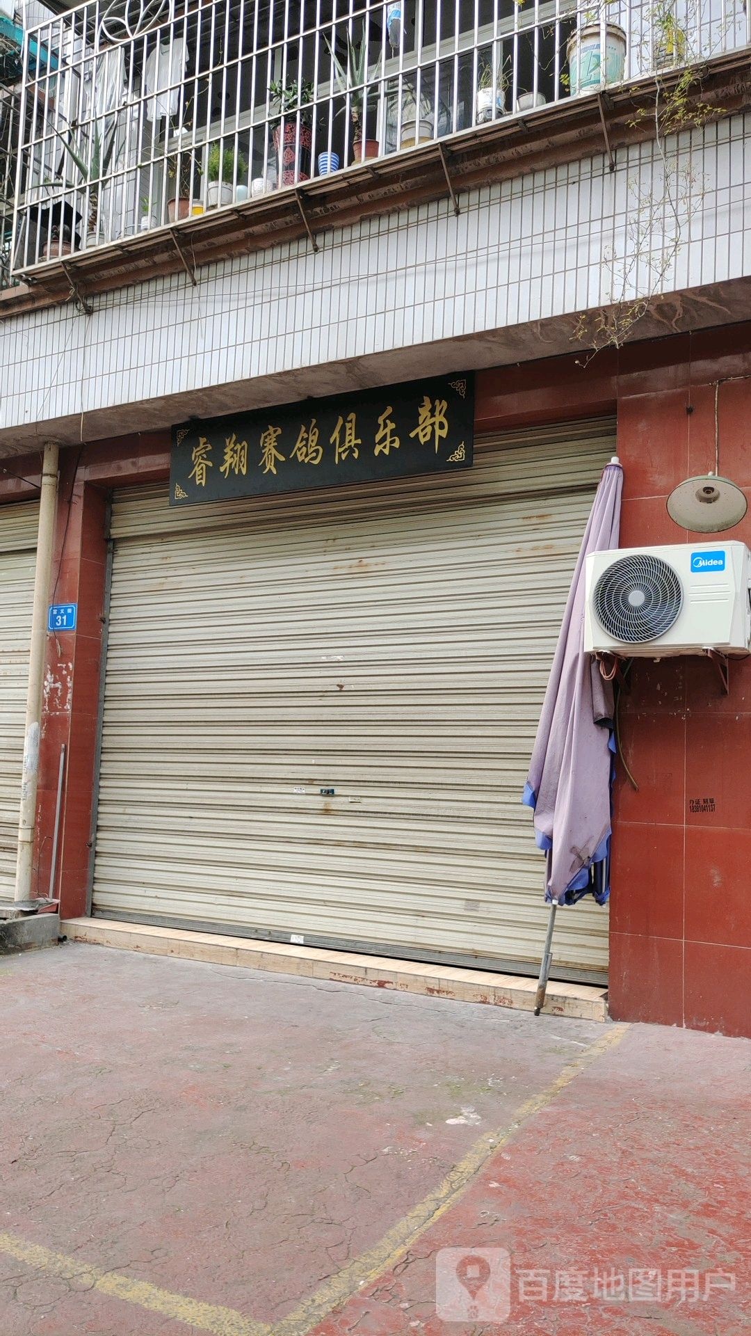 睿翔赛鸽俱乐部