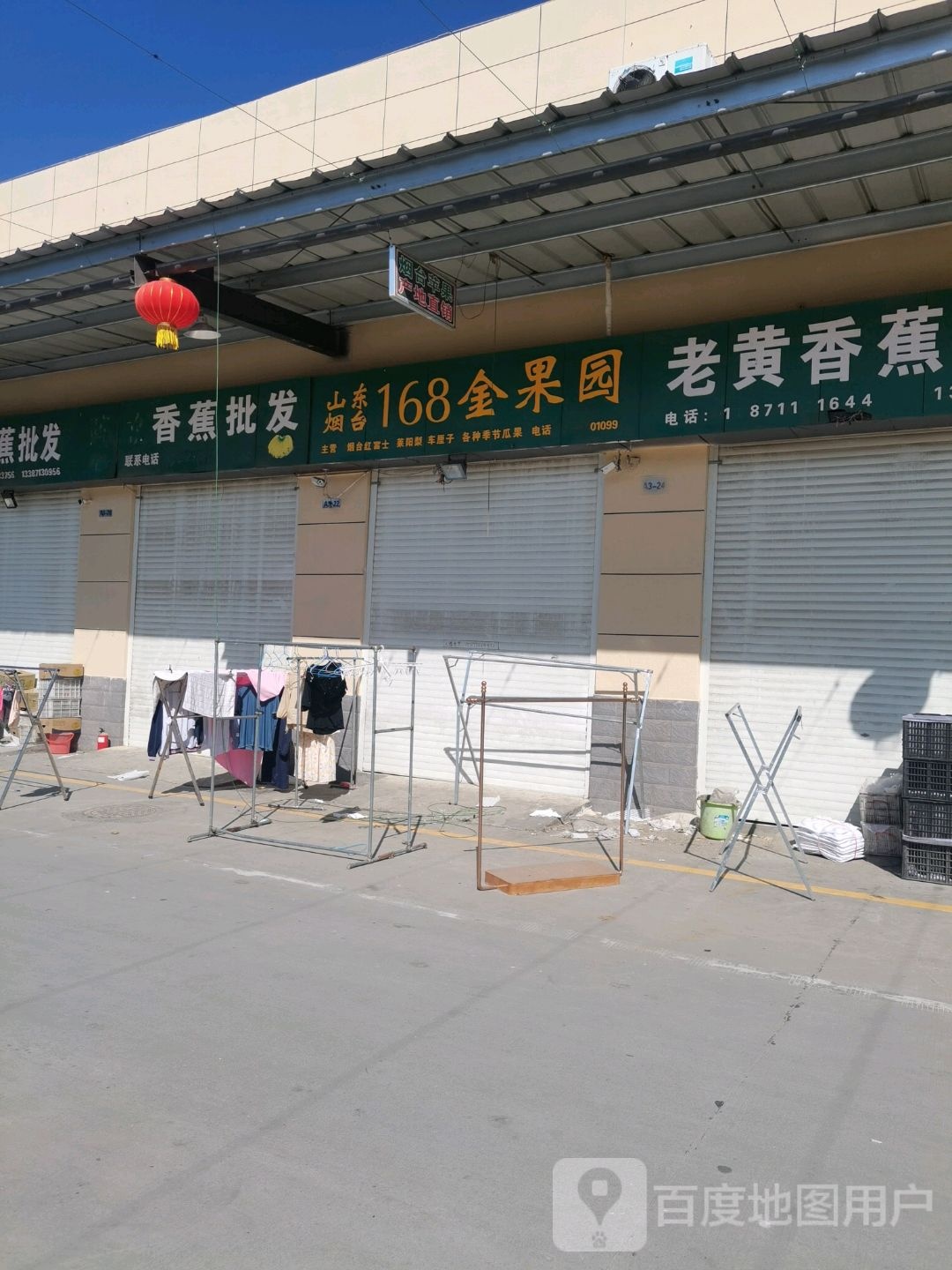 老董香蕉批fa