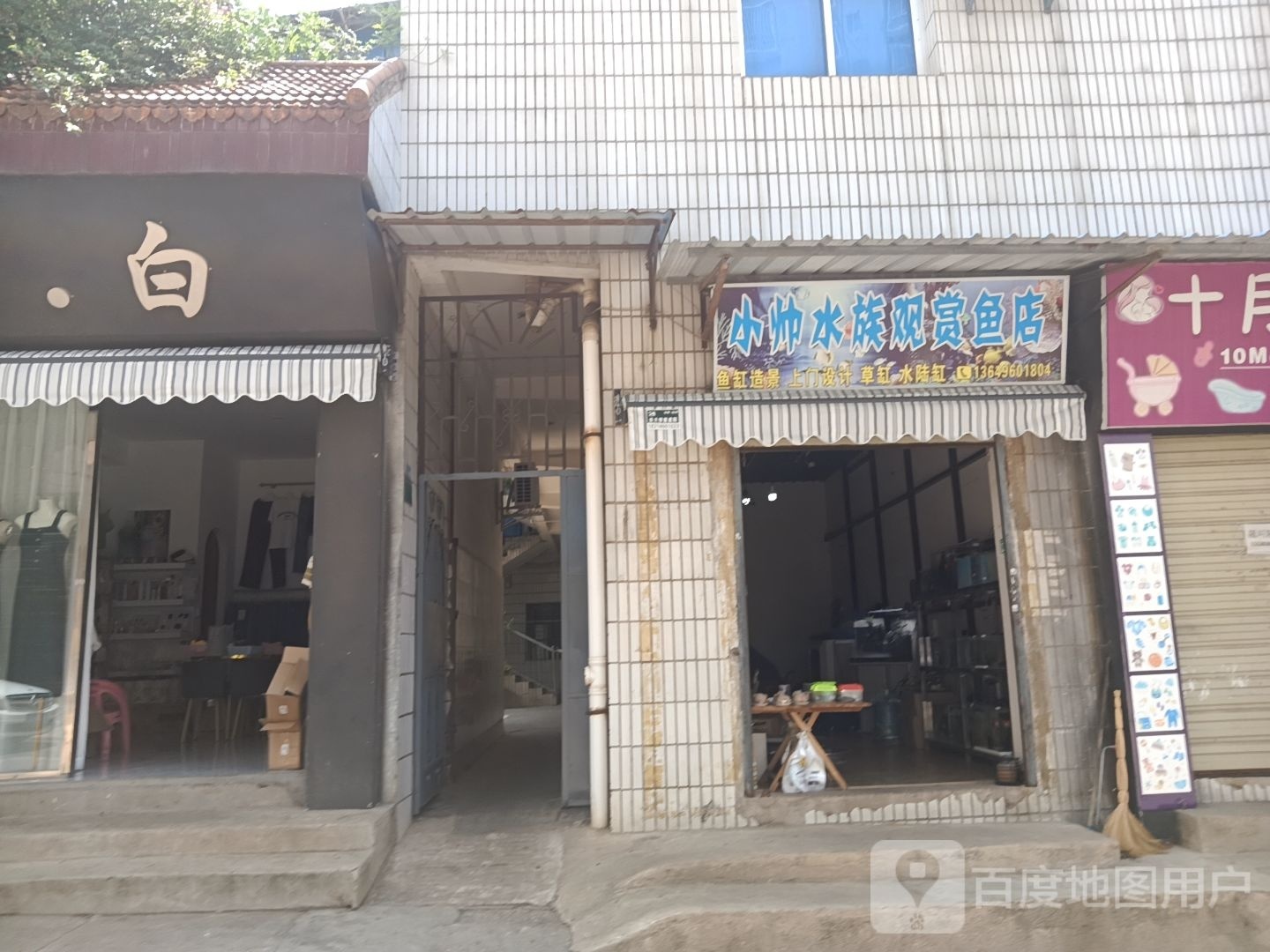 小帅水族观赏鱼店