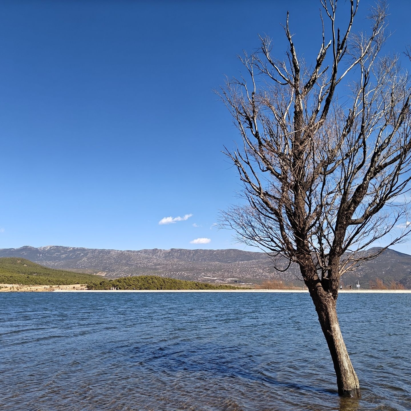 龙女湖