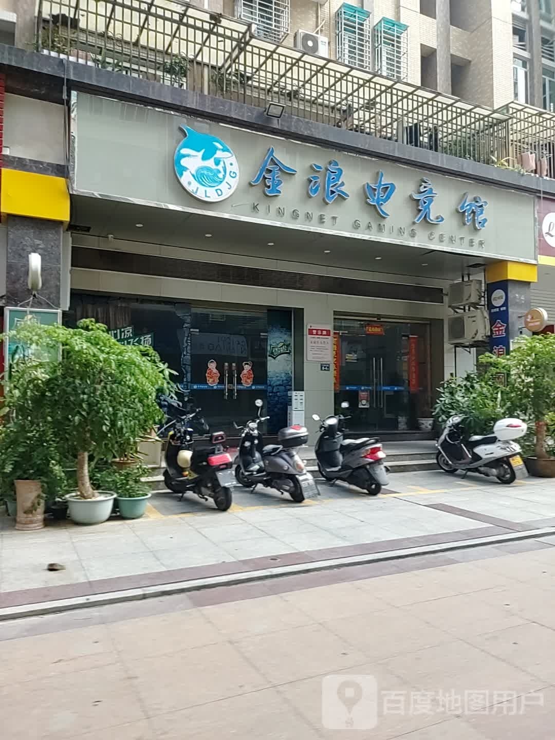 金浪电竞管