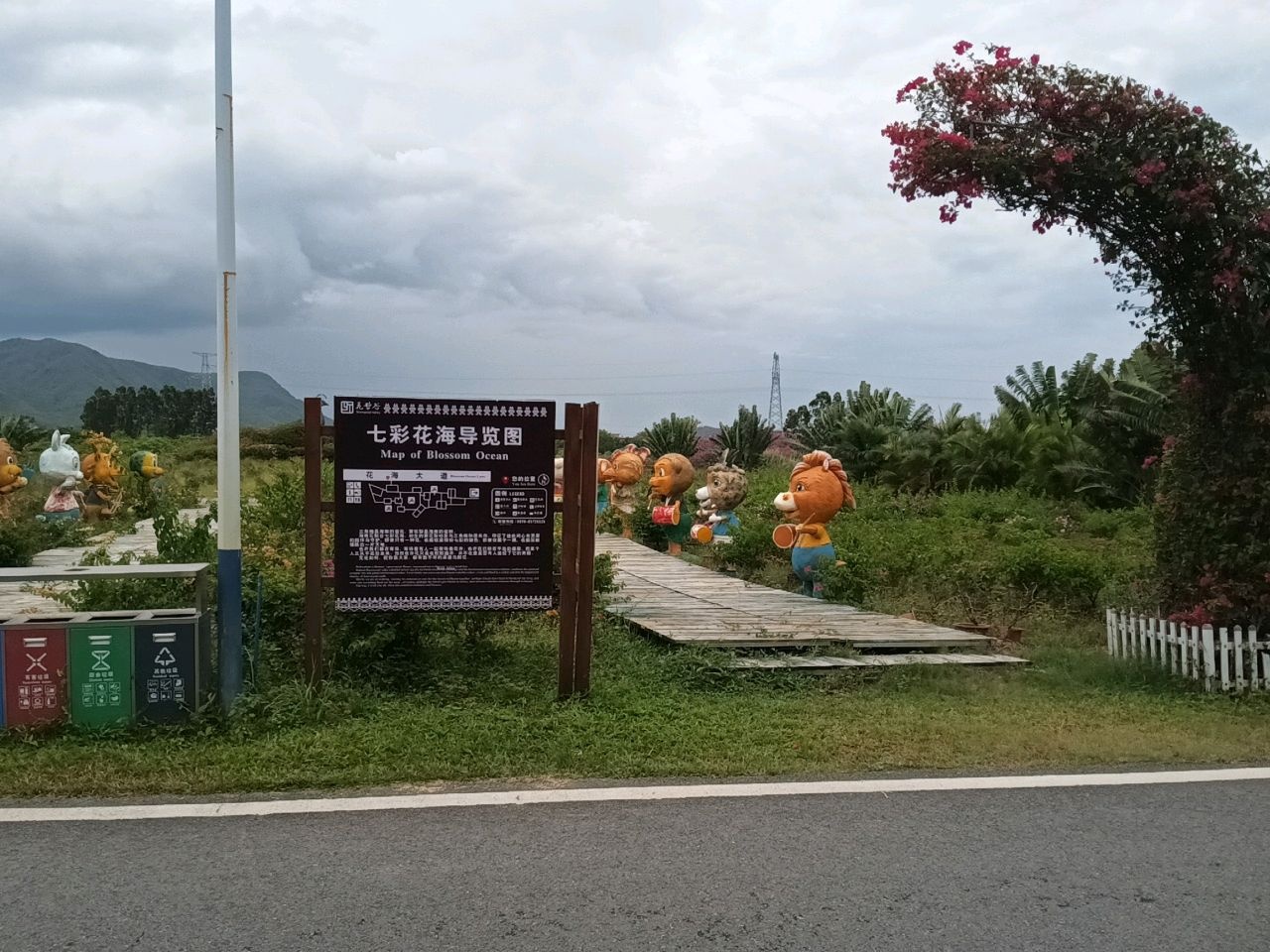 海南花梨谷文化旅游区-七彩花海