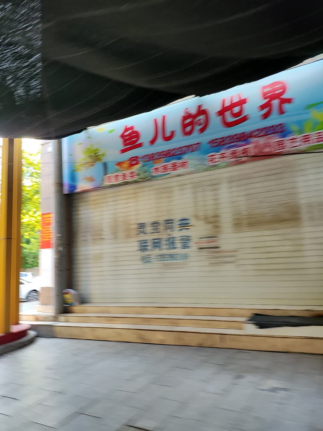 鱼儿的世界(友谊百货店)