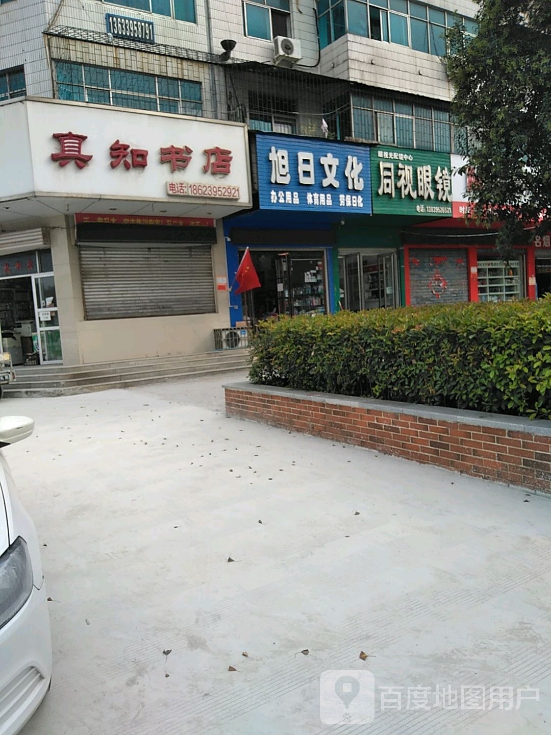 真芝书店