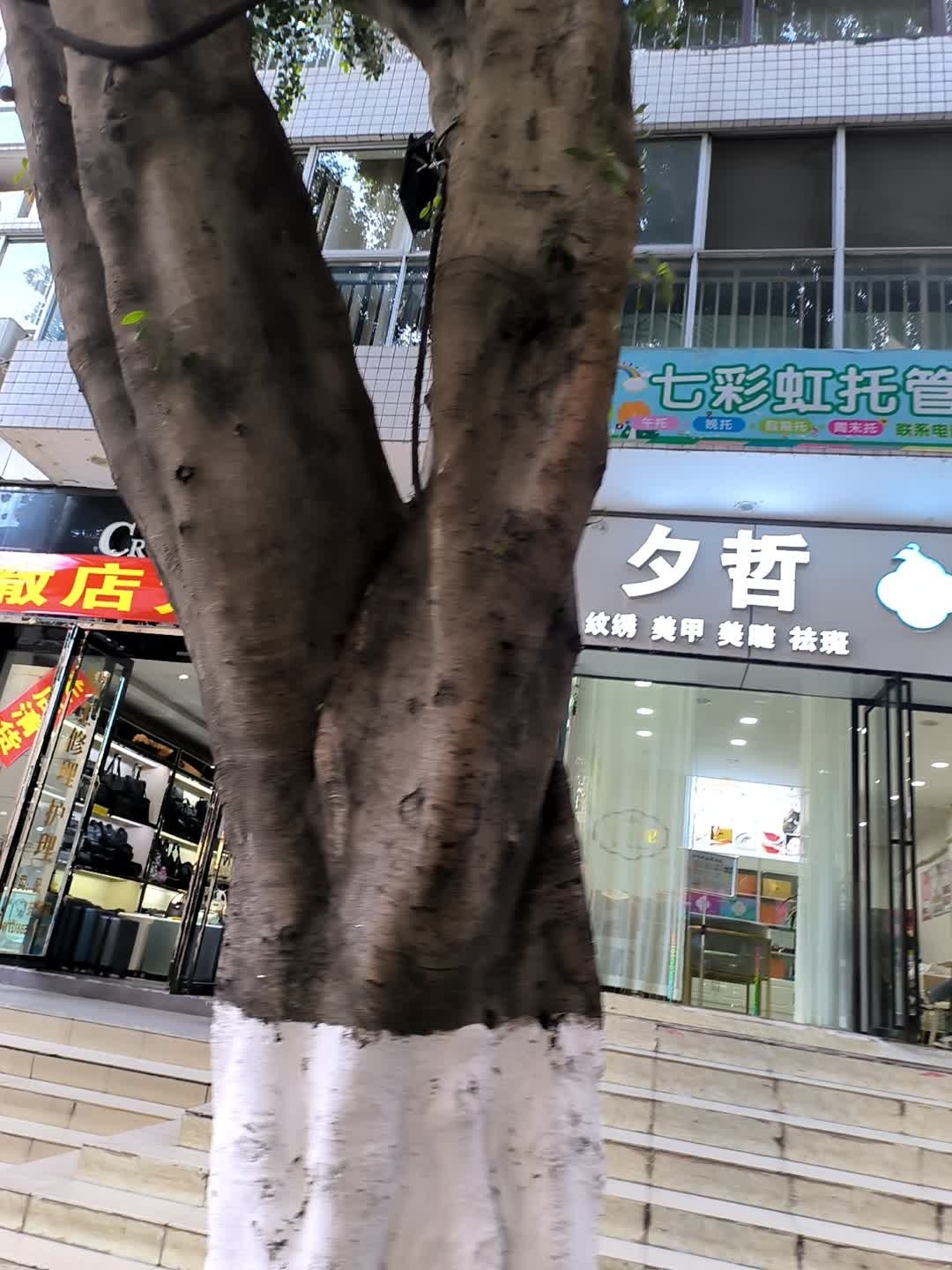 夕哲~青宸道养(怡景阳光小区店)