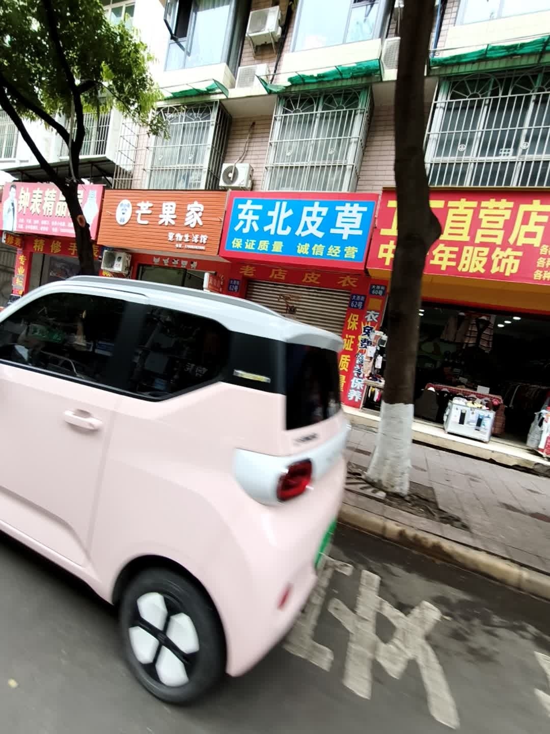 芒果家宠物生活馆