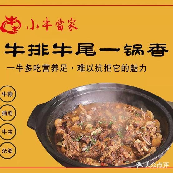 牛牛小牛当家牛排牛尾一锅香