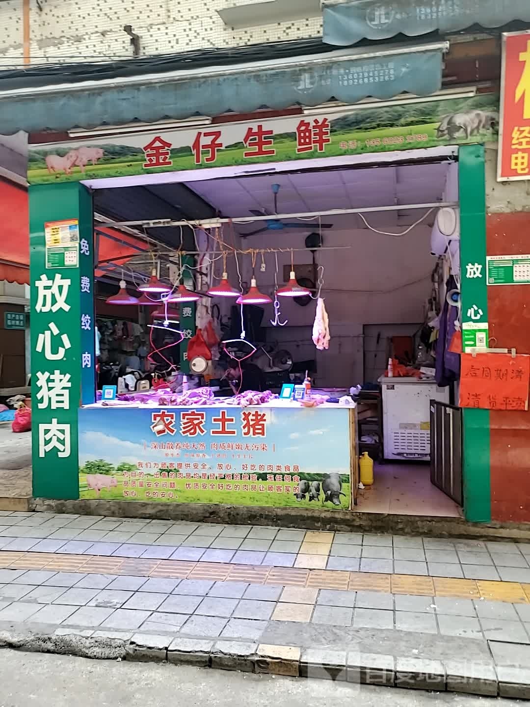 金仔渔生鲜