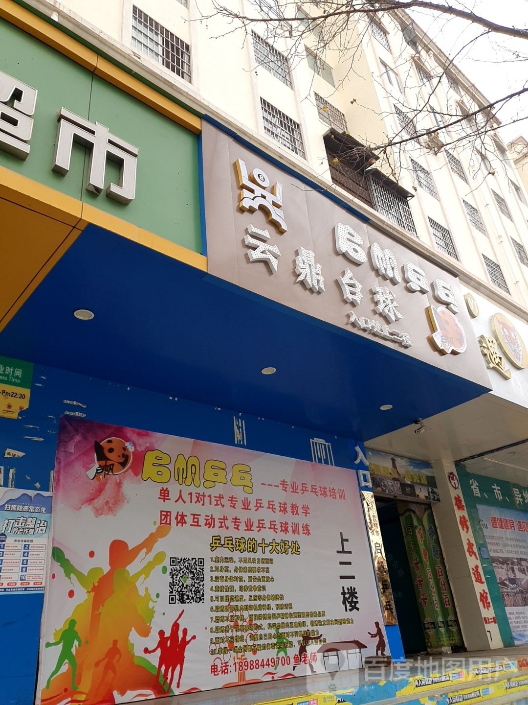 启帆乒乓球