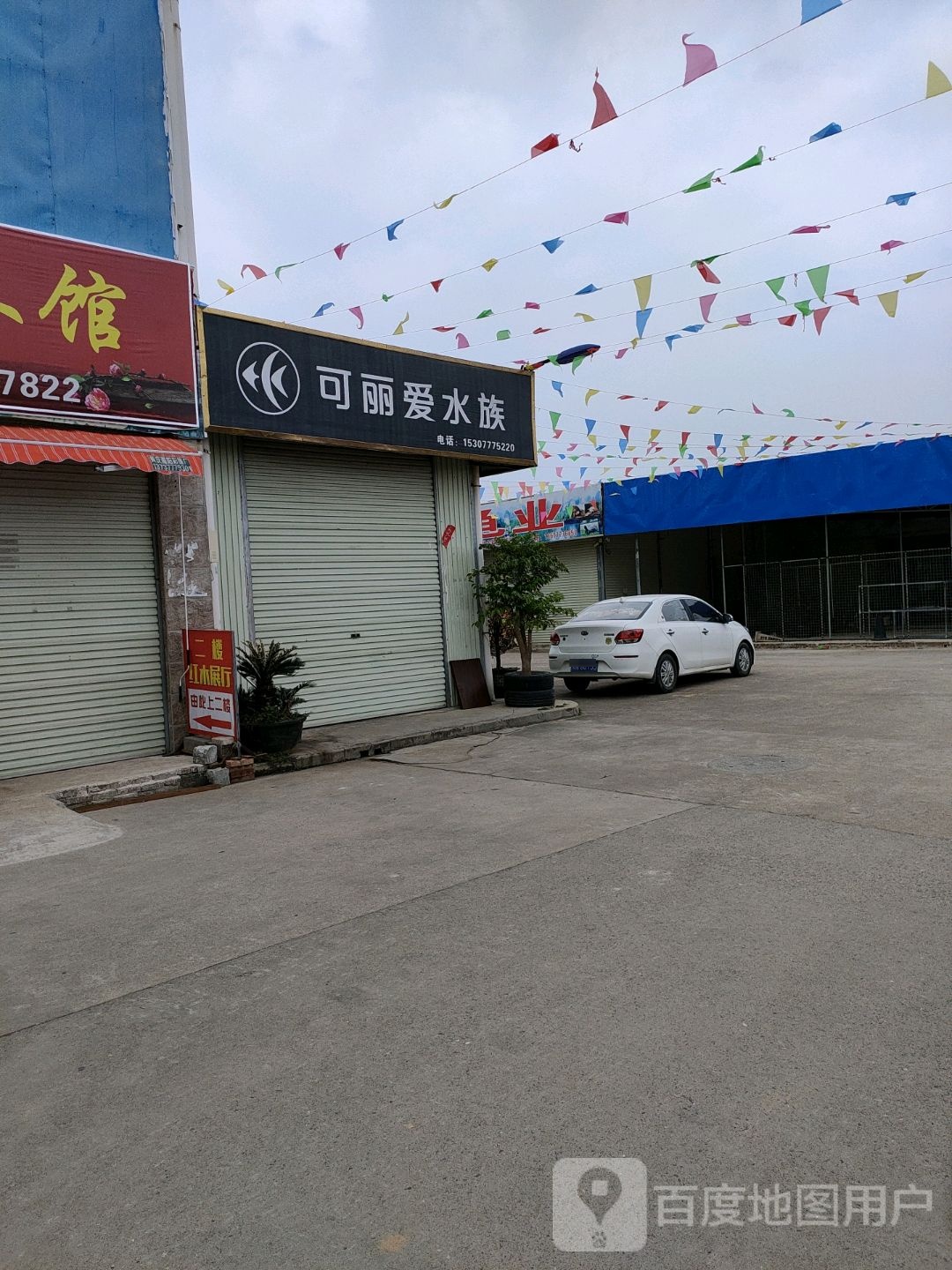 可丽爱水族(金海湾花鸟市场店)