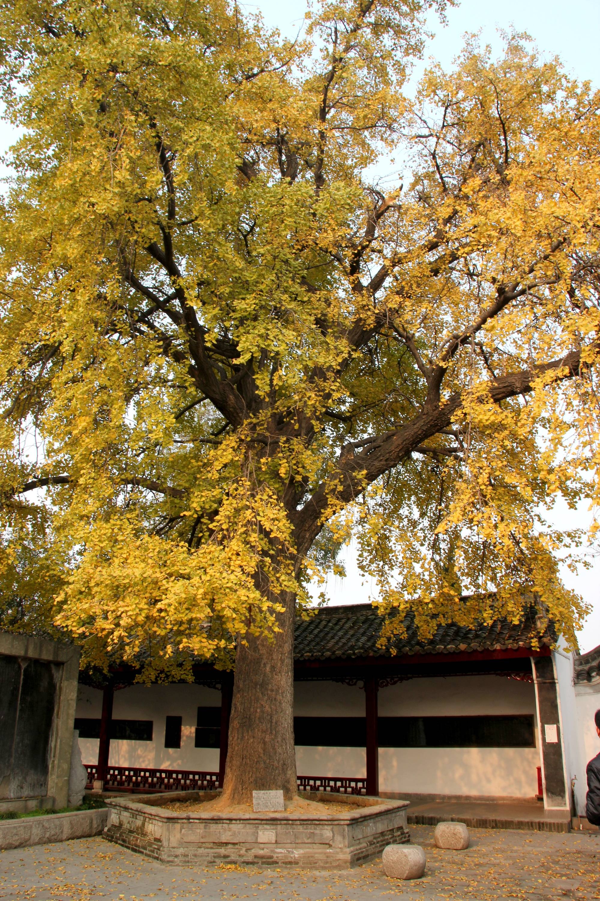 中国襄阳米芾纪念馆