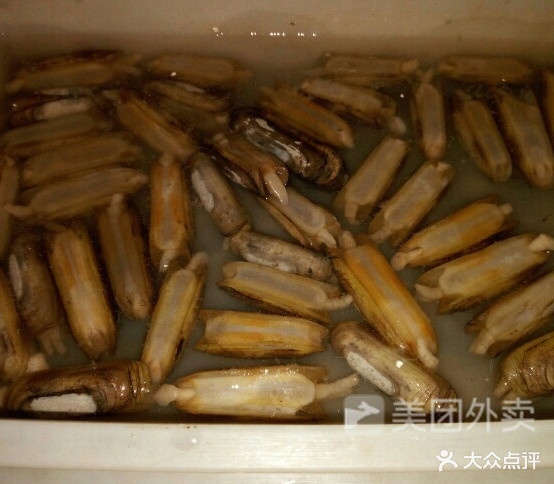 牛羊震海鲜(储运站小区店)