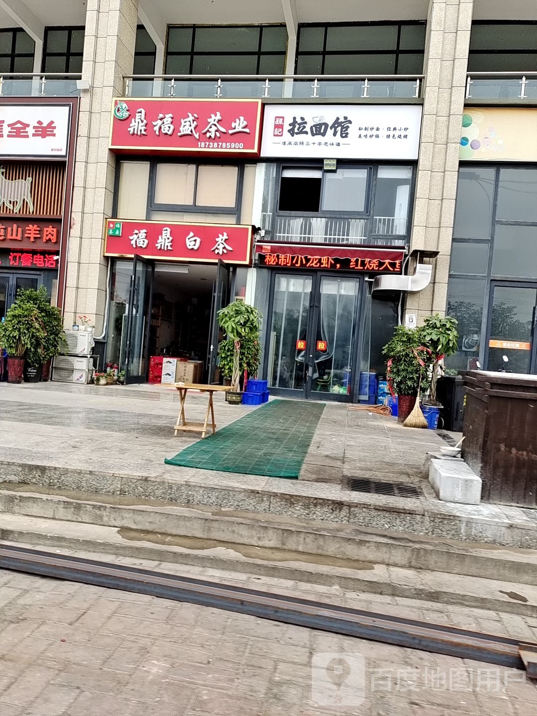 福鼎白茶