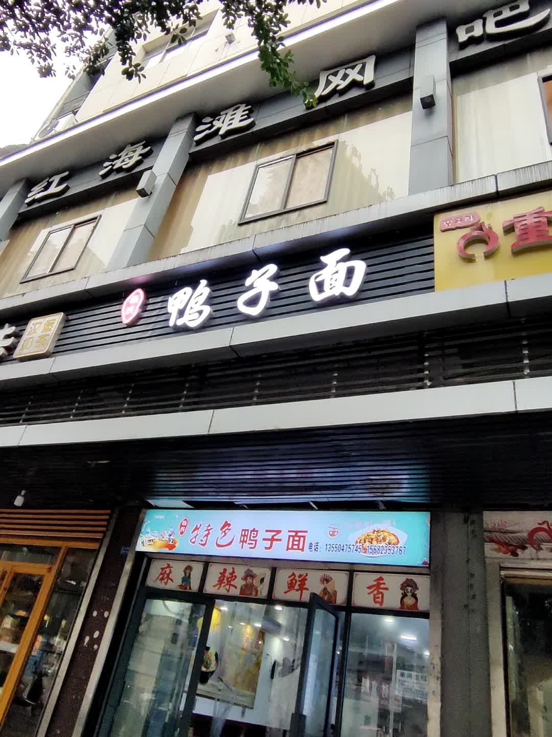 杨氏鸭子面