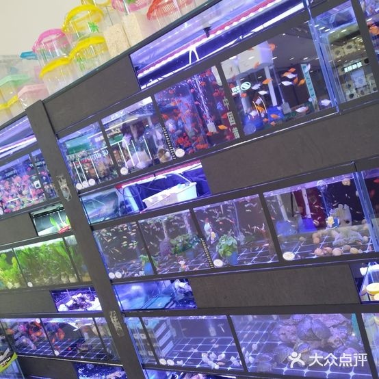 伟峰水族