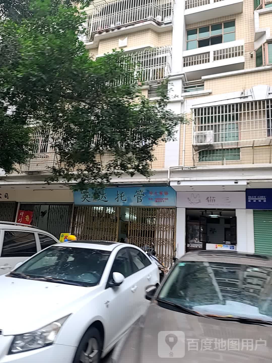 猫三·咖喱蛋包饭