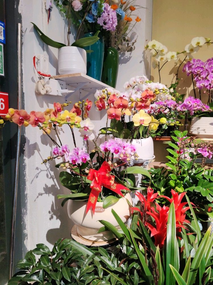 青青花店(德洲中心城店)