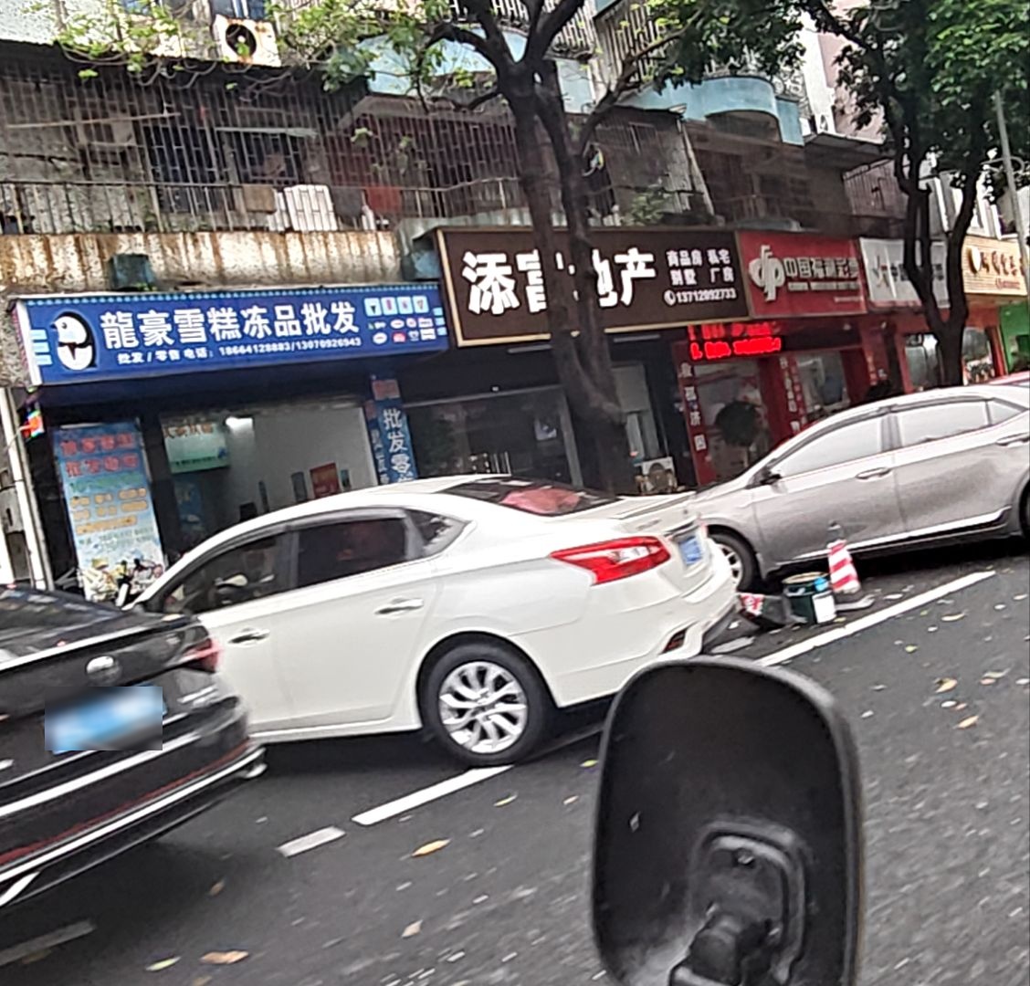 龙豪雪糕冻品批发
