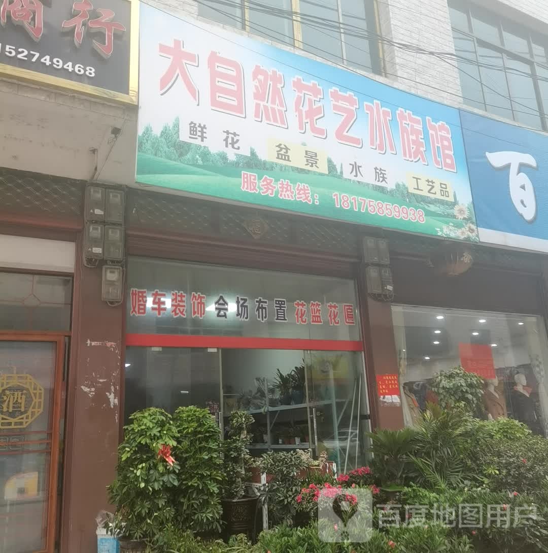 大自然花鱼水族馆