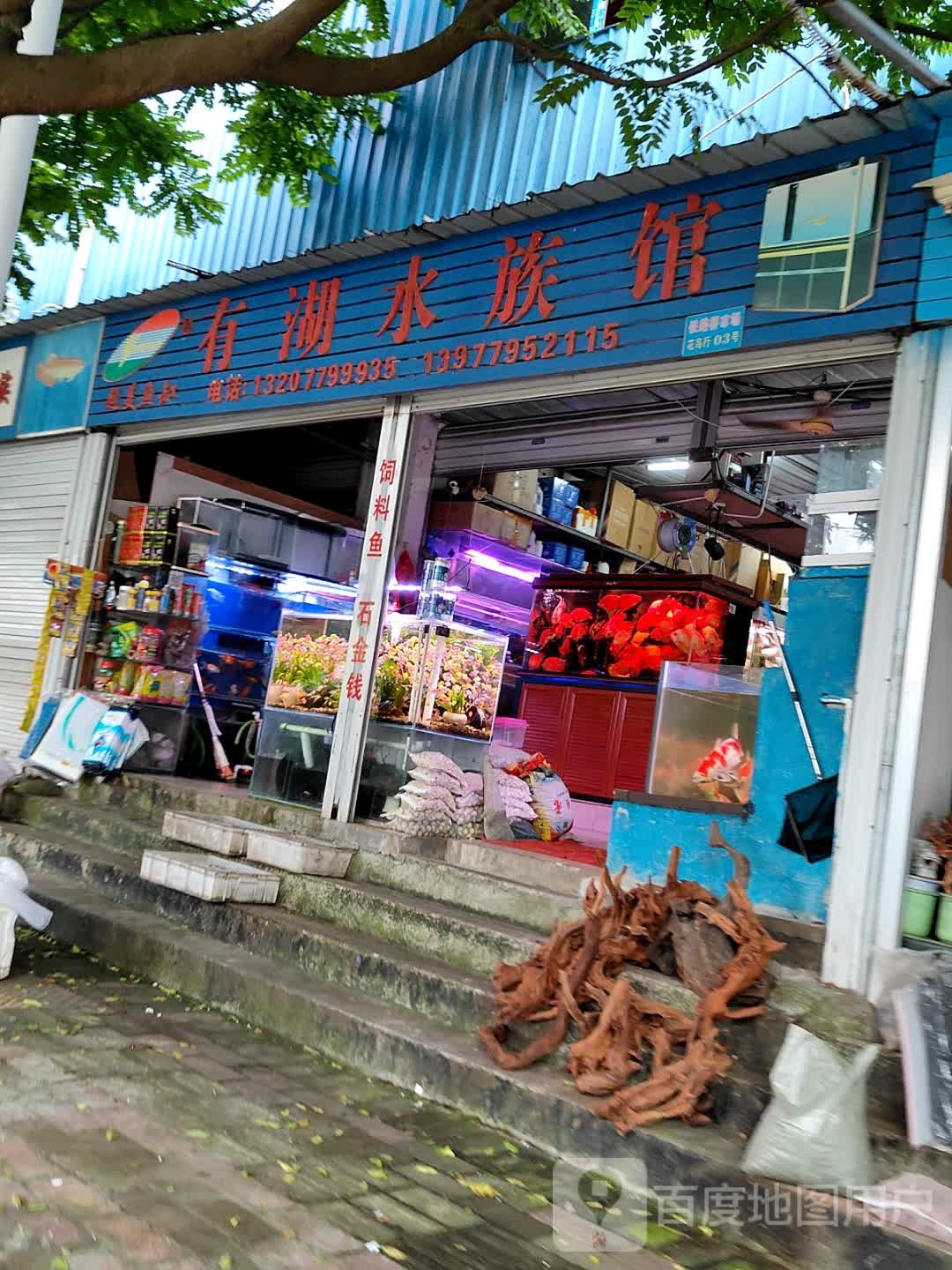 有湖水族馆