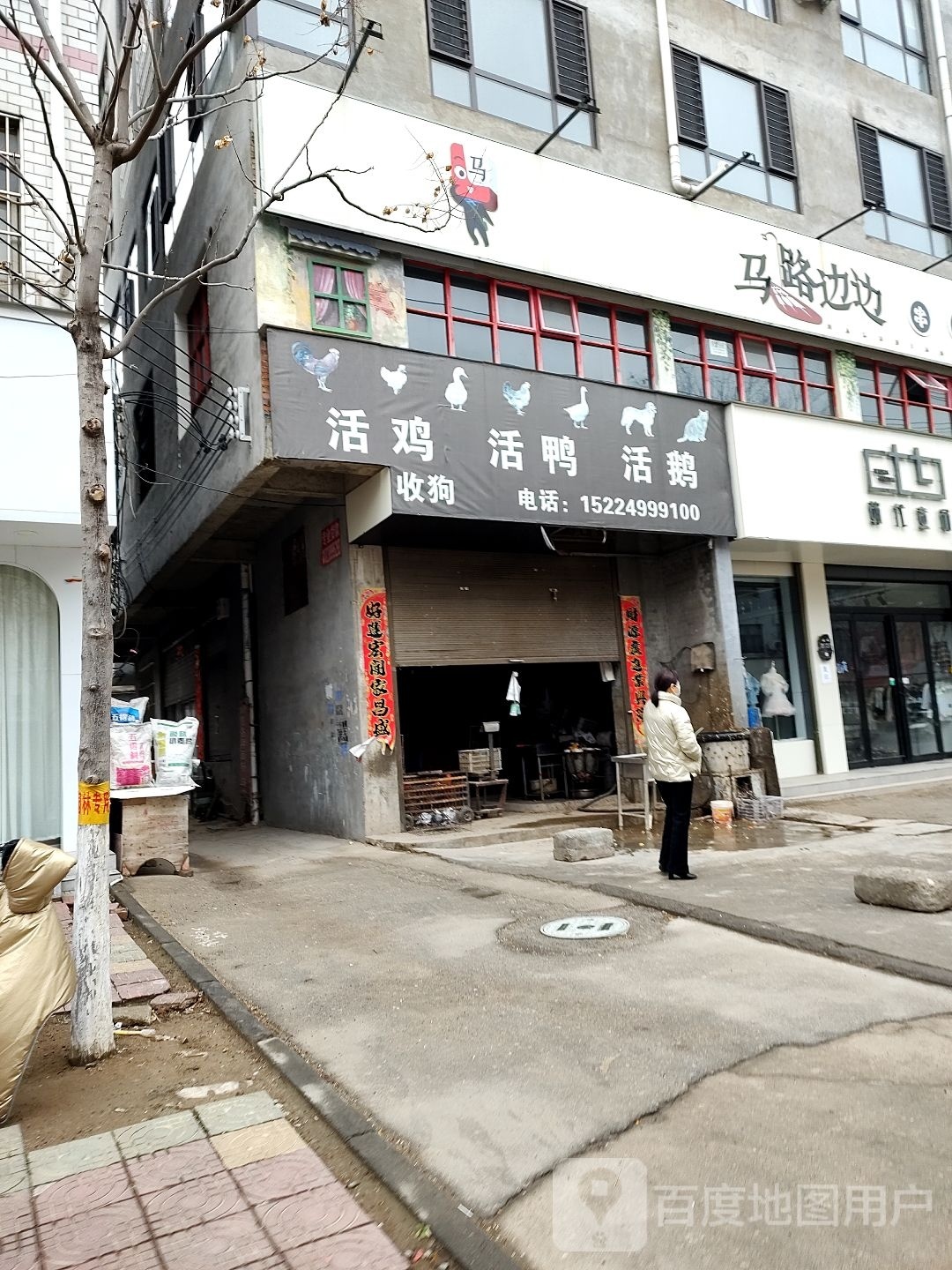 活鸡活鸭活鹅收购