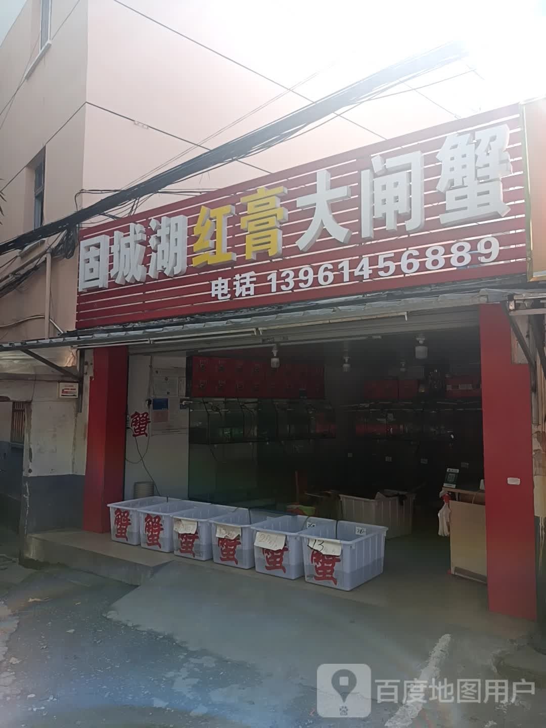 固城湖红膏大闸蟹