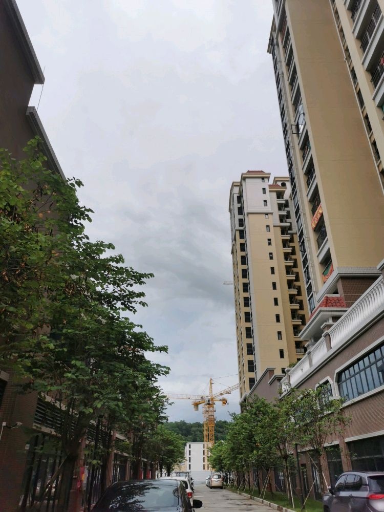 中山市华立职业技能培训学校有限公司