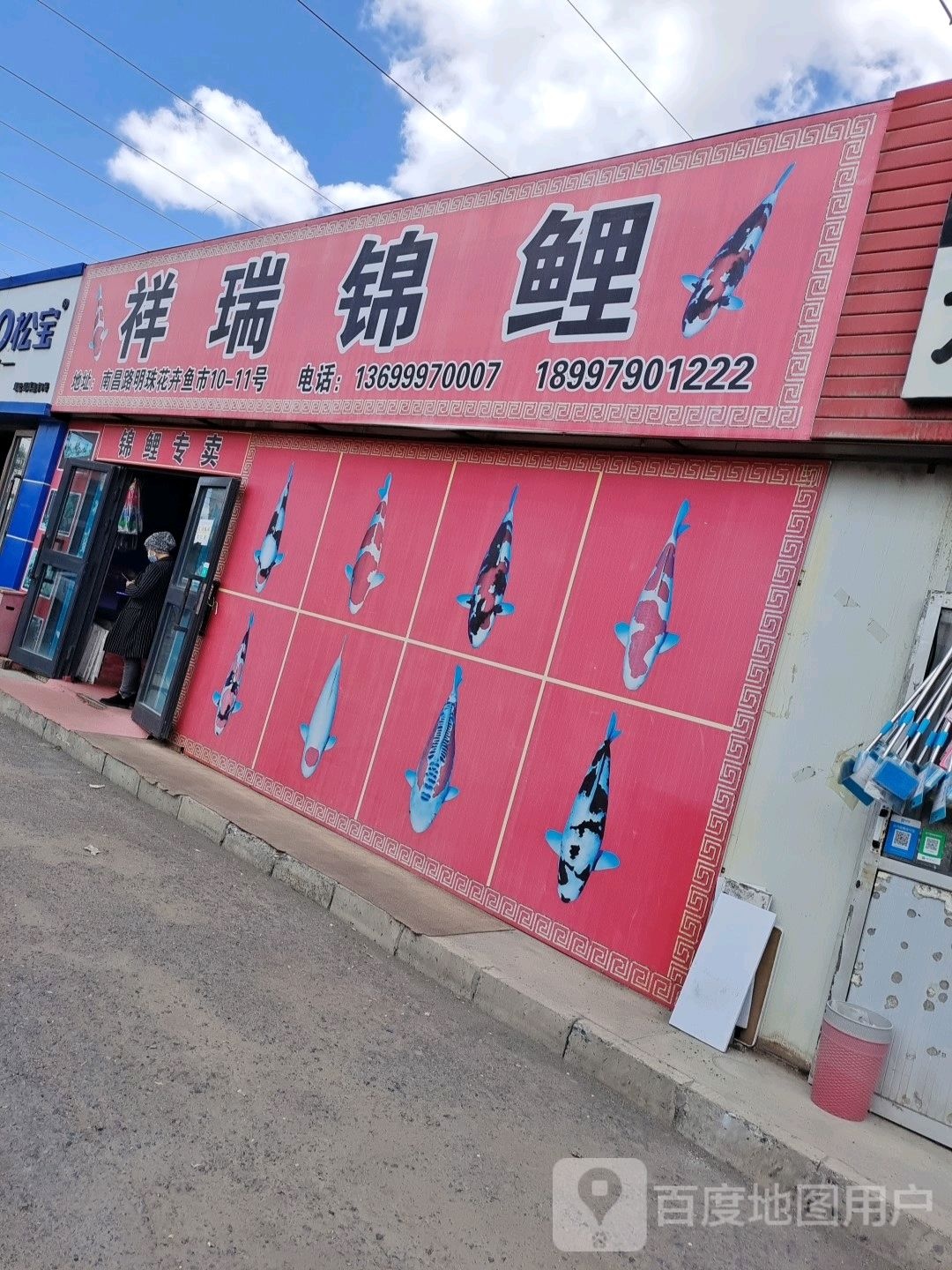 祥瑞锦鲤