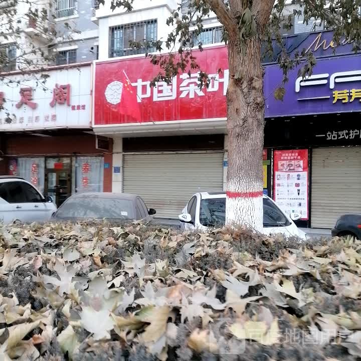 中国茶叶(金茂黄金海岸店)