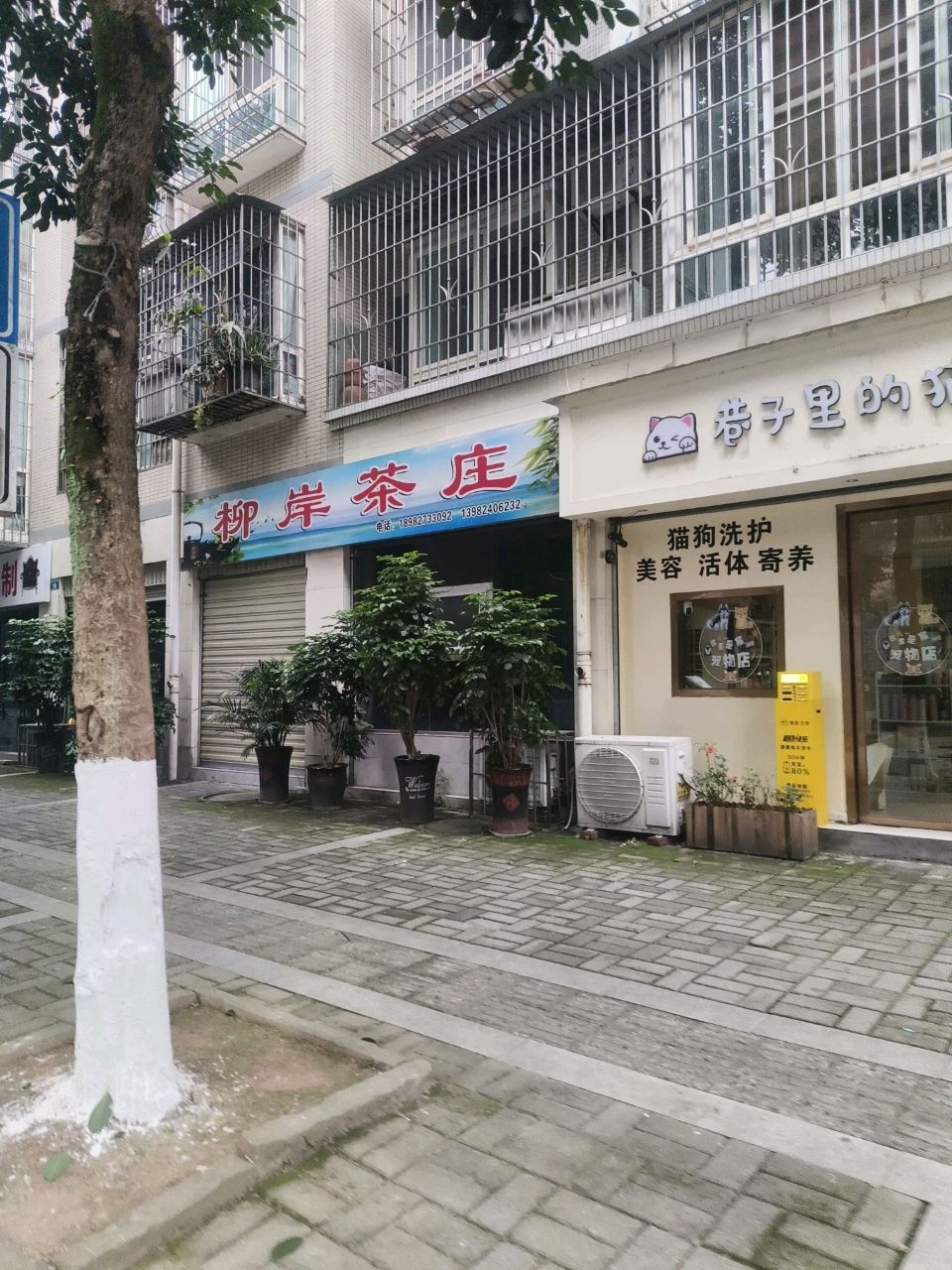 巷子里的猫宠物馆(泸县店)