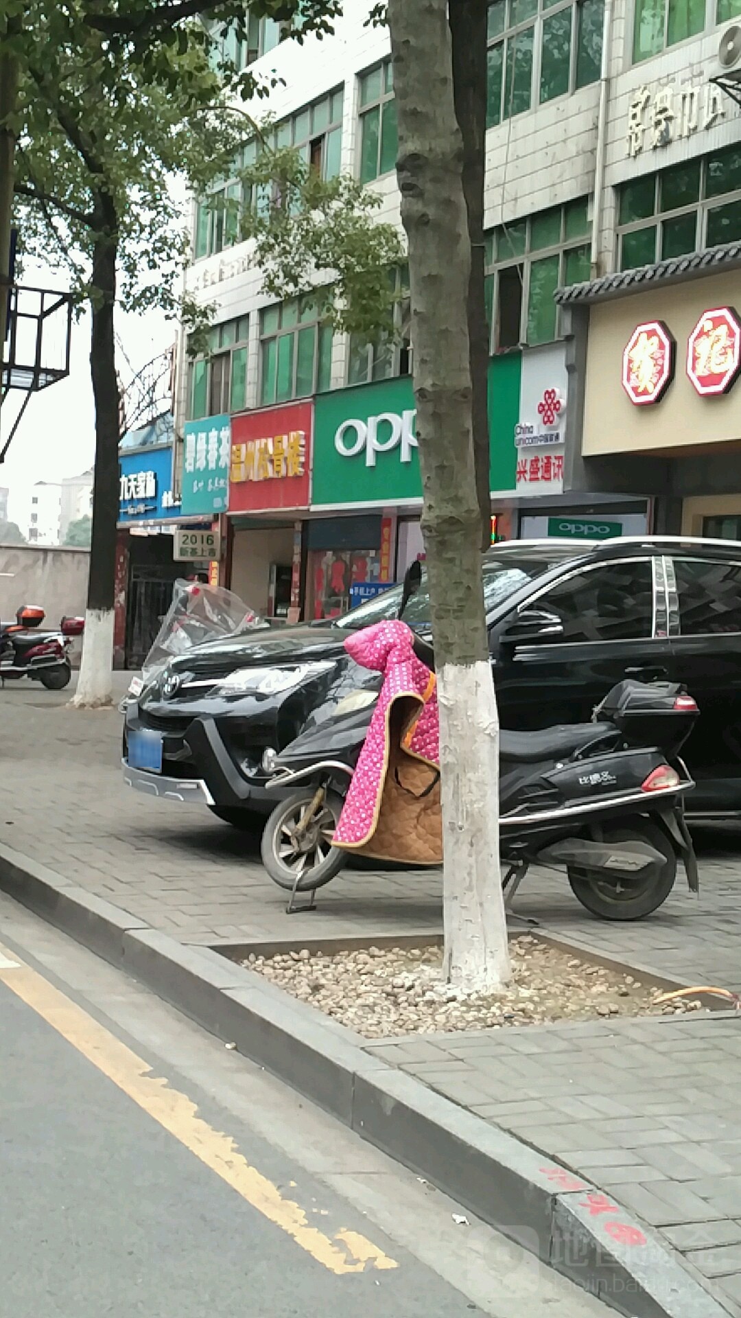 温州松肯楼(金穗花园西)