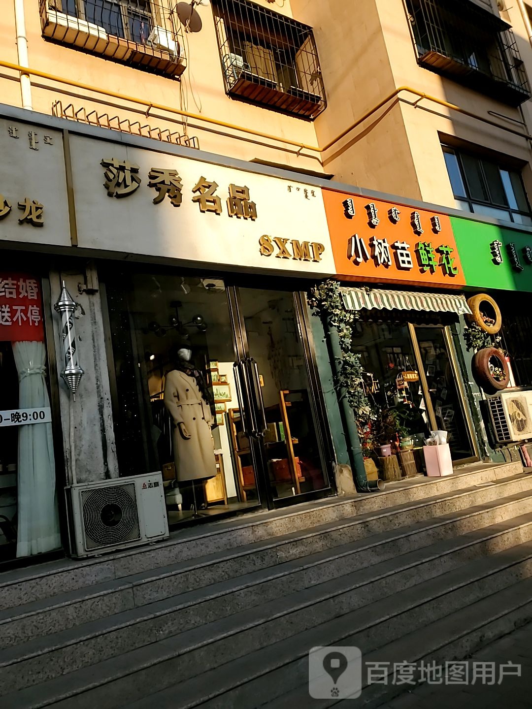 小树苗鲜花(师院店)