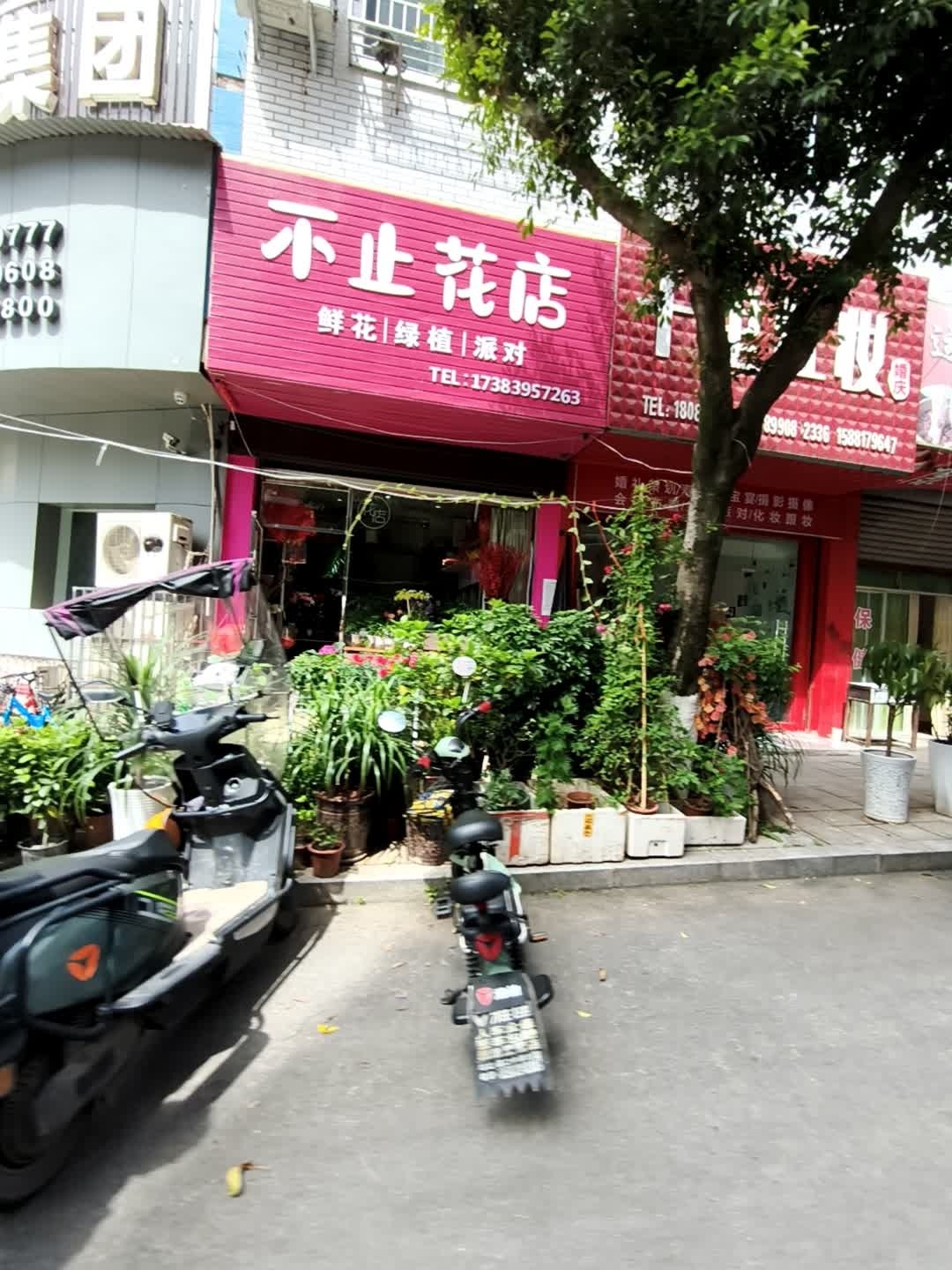 不止花店