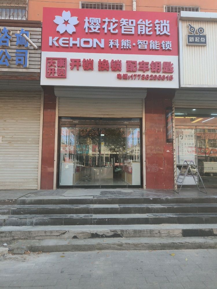 大康开锁店樱花智能锁(定州店)